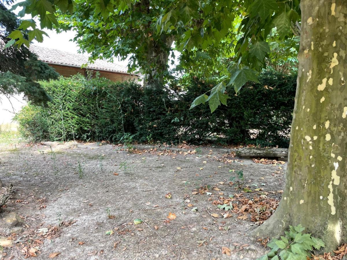 Le Clos Des Cadots - Chambre Chaintré Exteriör bild
